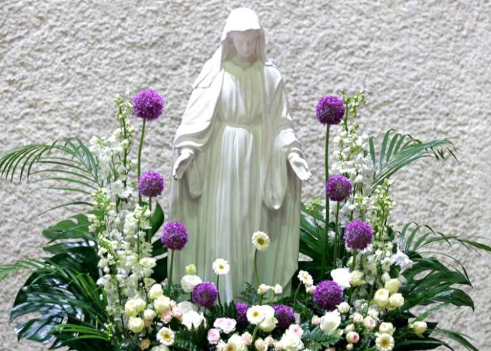 Image 237