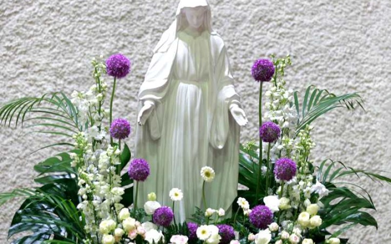 Image 237