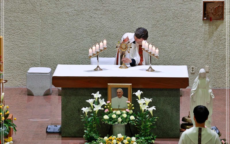 Image 236